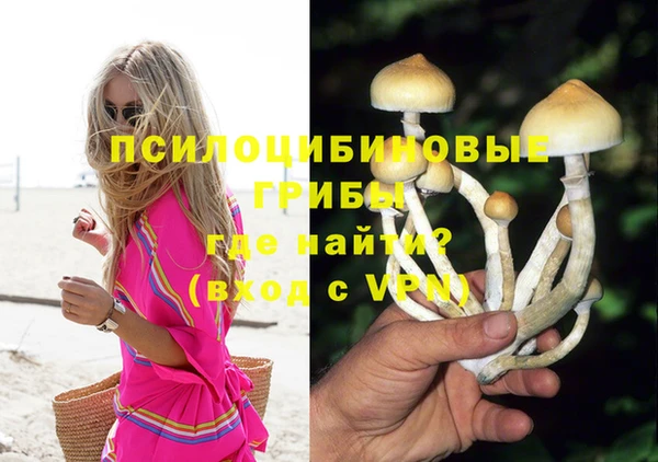 МДПВ Аркадак